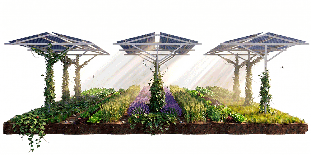AP-V1H1-Garten